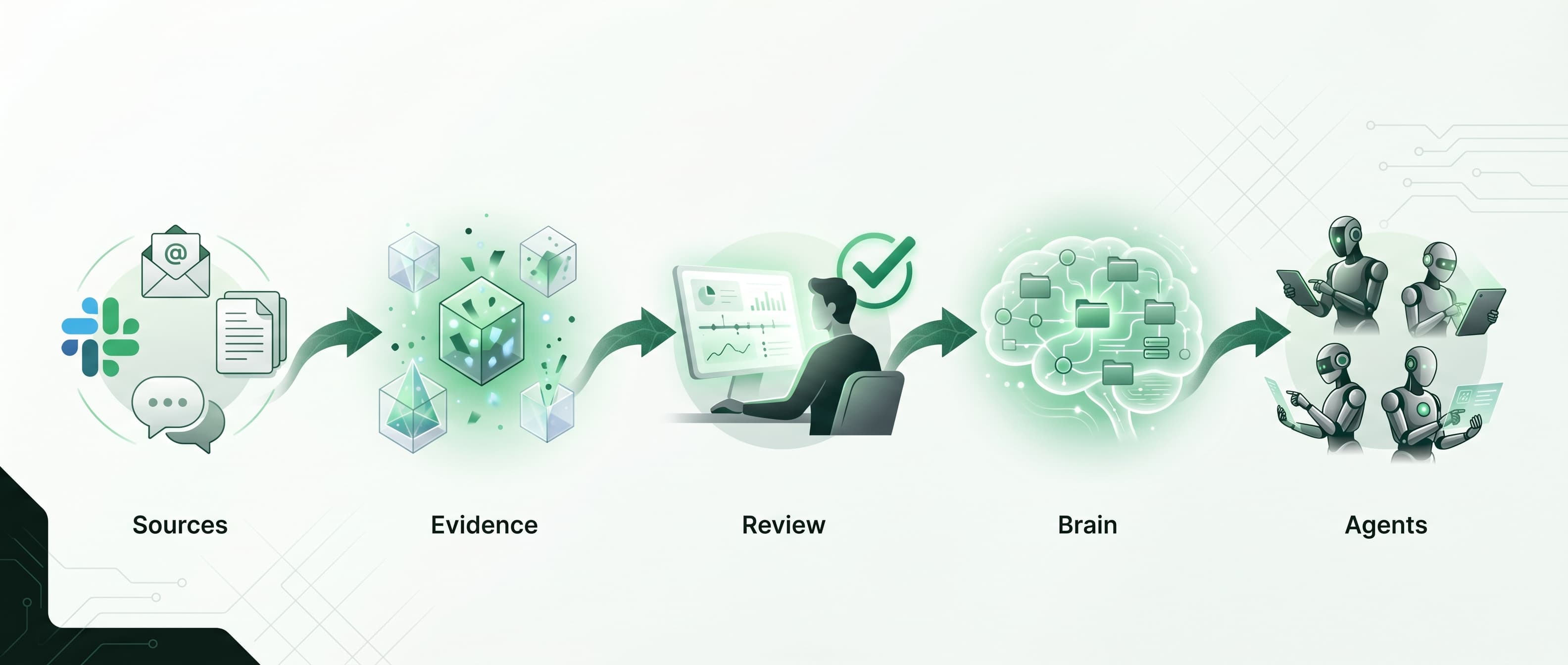 Data pipeline: Sources to Evidence to Review to Brain to Agents